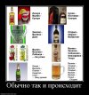 815728_obyichno-tak-i-proishodit.jpg