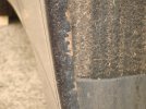 DSC07113.JPG