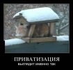 1342511994_07.jpg