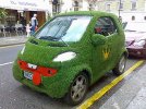 grass3.jpg