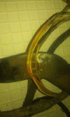IMAG0364.jpg