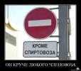 1285077475_qbknizdyab78.jpg