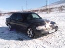 PIC_0929.JPG