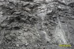 SDC11111.jpg