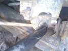 IMG0016.jpg