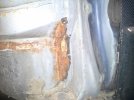 20130424_074910.jpg