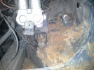 20130424_074930.jpg