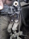IMG_20130501_114701.jpg