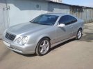 DSC00694.1.JPG