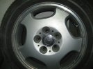 IMG_1235111.jpg