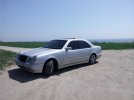 20130427_121909.jpg