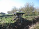 MercedesArtCaronatreestump_zpsd904249a.jpg