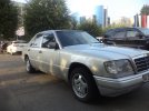 DSC01333.jpg