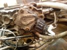 IMG_20130927_134445.jpg