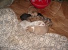 IMGP0841.JPG