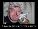upload2135.jpg