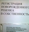 3239490_original.jpg