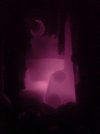 DSC01687.JPG