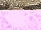3529527_large.jpeg