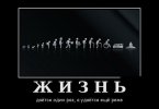 1383275422_29.jpg