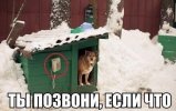 1386120525_001.jpg