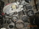 DSCN1951.JPG