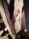 IMG_20131228_143301.jpg
