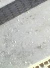 IMG0022A.jpg