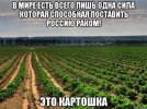 YX_j_VkvJLc.jpg