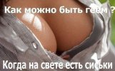 610595_62405.jpg