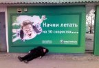 Клип_4.jpg
