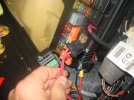 DSC09431.JPG