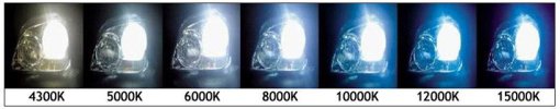 Lampy color_2.jpg