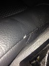 IMG_1198.jpeg