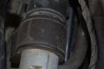 DSC_0094.JPG