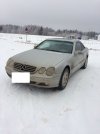 IMG_2393.JPG