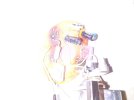 CAM03859.jpg