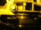 DSC01008.JPG