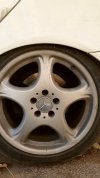 IMG-20171216-WA0014.jpg
