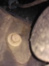 IMG_20180415_143640.jpg