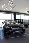 IMG_9659.jpg