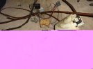 DSC04115.JPG