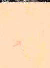 FDFD22CB-FBC0-4ADC-939F-2034E2EFD09C.jpeg
