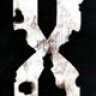ChipX
