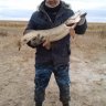 Абдижали