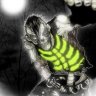 Myers