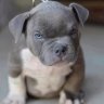 Leva_059