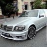 Mersik w140 oom606