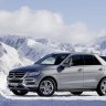 Vitali w166
