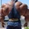superfox